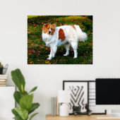 BEGIN ONDER $20 - Collie op eigen kracht Poster (Thuiskantoor)