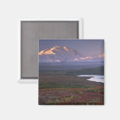 Begin september in het Nationaal Park Denali Magneet (Voorkant / Achterkant)