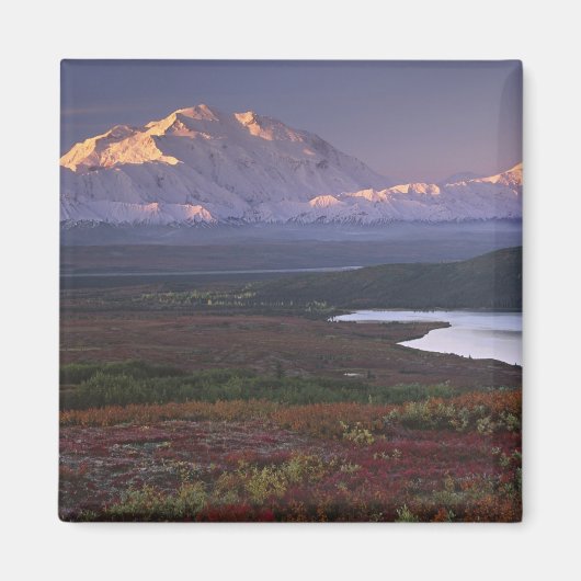Begin september in het Nationaal Park Denali Magneet (Voorkant)