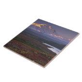 Begin september in het Nationaal Park Denali Tegeltje (Zijkant)