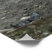 Begin van de Gornergrat Glacier Poster (Hoek)