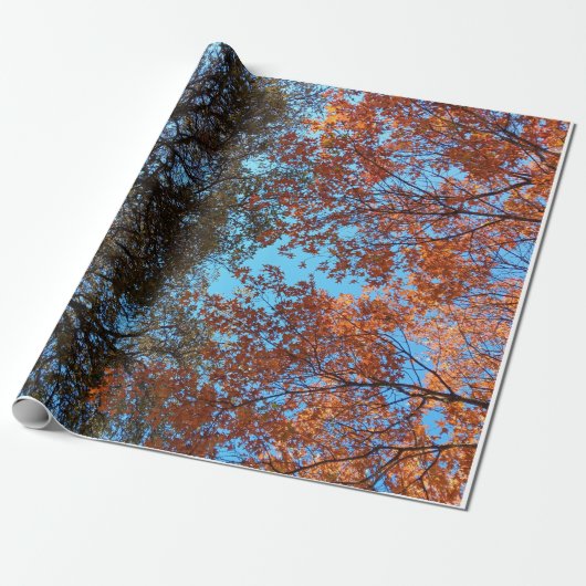 Begin van de herfst cadeaupapier (Uitgerold)