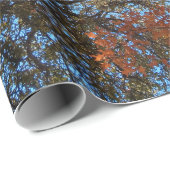 Begin van de herfst cadeaupapier (Rol Hoek)