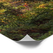 Begin van de Herfst Poster (Hoek)