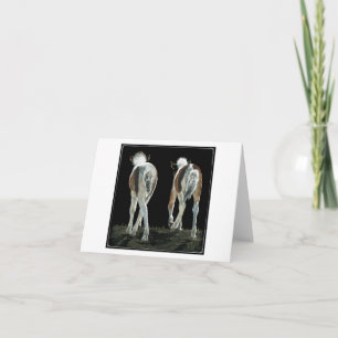 "Beginnende lijn dansen" Foal Kaart