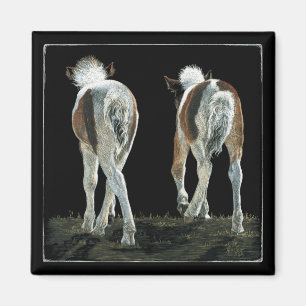 "Beginnende lijndansen" - Foal Magnet Magneet