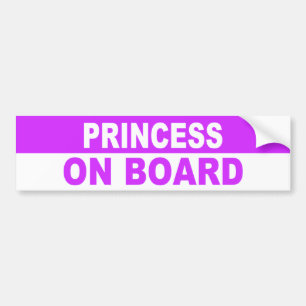 BEGINSEL AAN BOORD BUMPERSTICKER