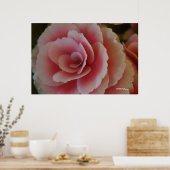 Begonia Beauty Poster (Keuken)
