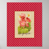 Begonia Botanical en Quatrefoil Poster (Voorkant)