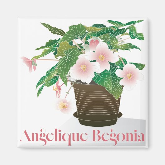 Begonia Magnet (Devant)