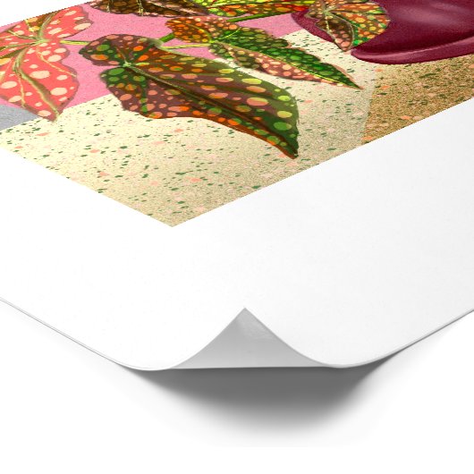 Begonia Print, Poster (Matte) (Coin)
