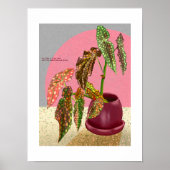 Begonia Print, Poster (Matte) (Devant)