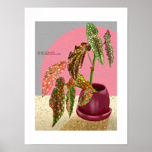 Begonia Print, Poster (Matte) (Devant)