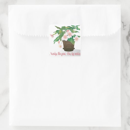 Begonia Stickers (Sac)
