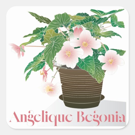 Begonia Stickers (Devant)