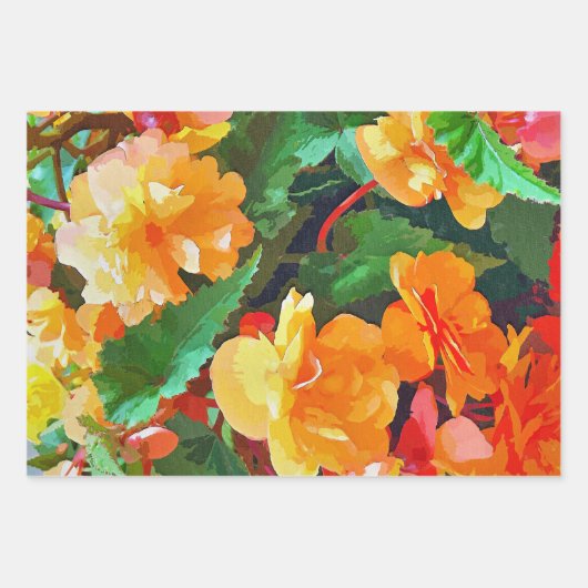 BEGONIA-STROMEN INPAKPAPIER VEL (Voorkant)