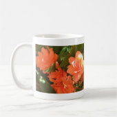 Begonias Foto Mok (Links)