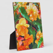 BEGONIAS FOTOPLAAT (Zijkant)