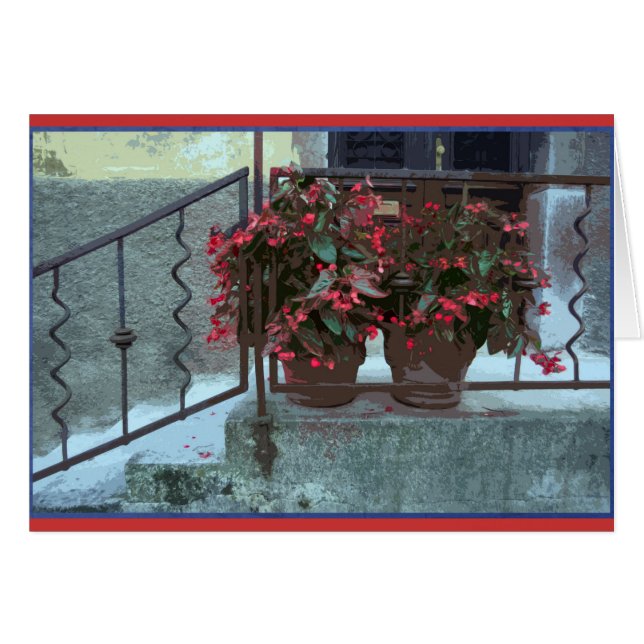 Begonias in Ljubjlana (Voorkant Horizontaal)