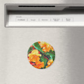 BEGONIAS MAGNEET (Insitu (Vaatwasser))