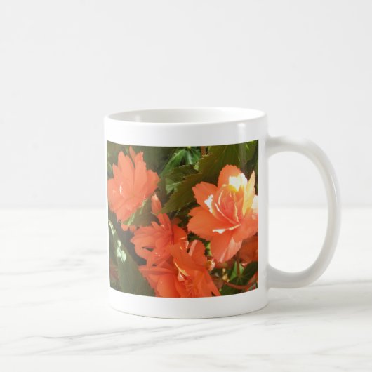 Begonias Photo Mug (Droite)