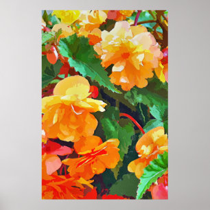 BEGONIAS POSTER