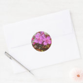Begonias stickers (Envelop)