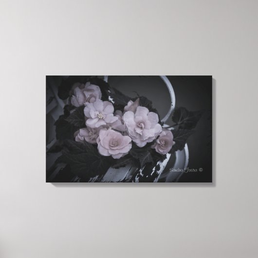 Begonias Sur Le Banc Jardin Galerie De Scène Toile (Recto)