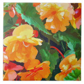 BEGONIAS TEGELTJE (Voorkant)