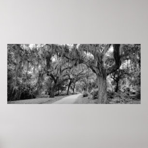 Begraafplaats, Savannah Ga, MD Fotografie Poster