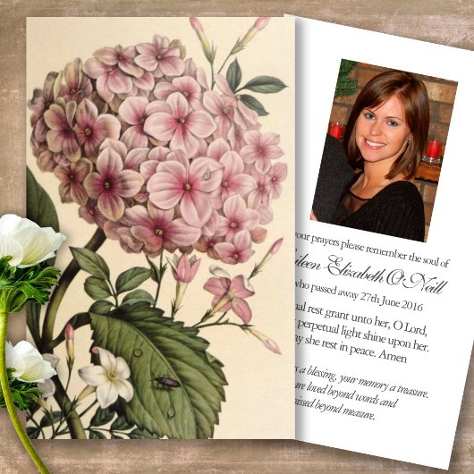 Begrafenisverlies Roze Hydrangea Gebed Sympathie K Visitekaartjes