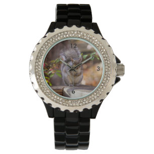 Begrepen eekhoorn horloge