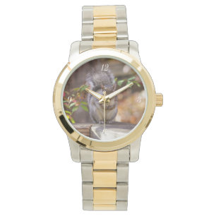 Begrepen eekhoorn horloge