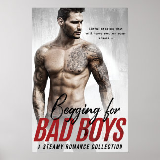 Begrepen voor Poster van Bad Boys
