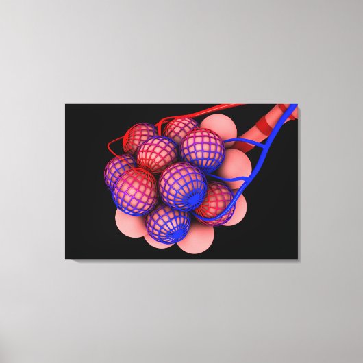 Begripelijk Afbeelding van Alveoli 1 Canvas Afdruk (Voorkant)