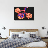 Begripelijk Afbeelding van Alveoli 3 Canvas Afdruk (Insitu (Slaapkamer))