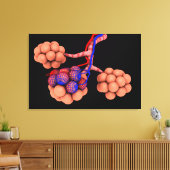 Begripelijk Afbeelding van Alveoli 3 Canvas Afdruk (Insitu (Woonkamer))