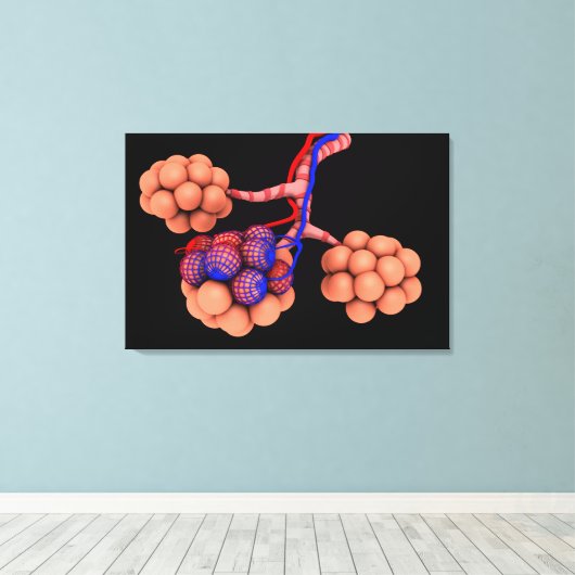 Begripelijk Afbeelding van Alveoli 3 Canvas Afdruk (Insitu (Houten vloer))