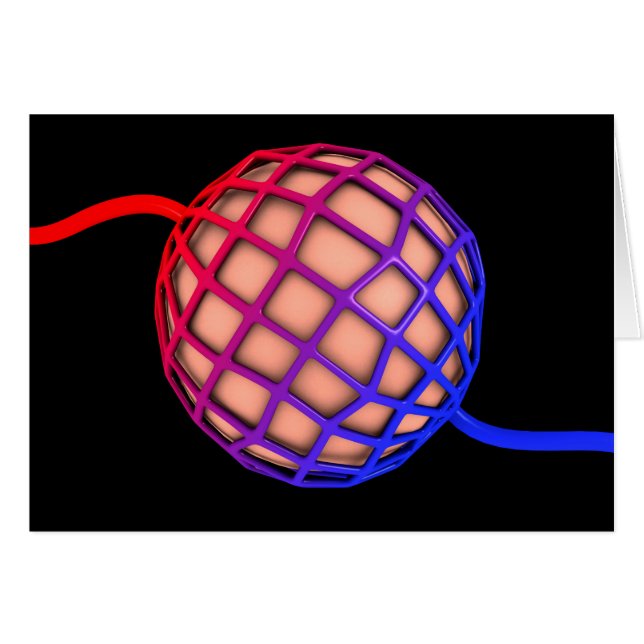 Begripelijk Afbeelding van Alveolus (Voorkant Horizontaal)