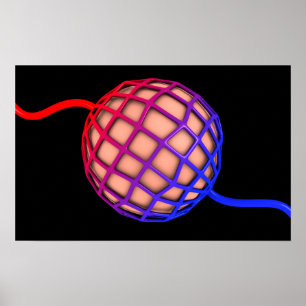 Begripelijk Afbeelding van Alveolus Poster