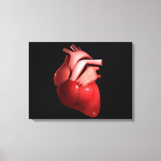 Begripelijk Afbeelding van het menselijk hart 1 Canvas Afdruk (Voorkant)