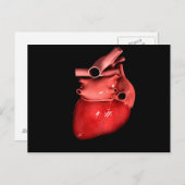 Begripelijk Afbeelding van het menselijk hart 3 Briefkaart (Voorkant / Achterkant)
