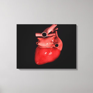 Begripelijk Afbeelding van het menselijk hart 3 Canvas Afdruk