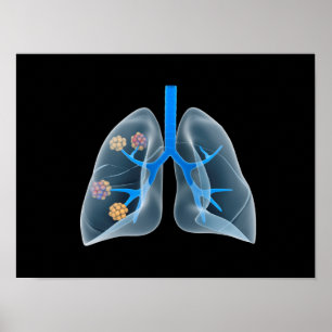 Begripelijk Afbeelding van het menselijk hart 4 Poster