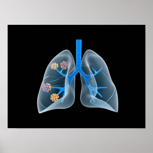 Begripelijk Afbeelding van het menselijk hart 4 Poster (Voorkant)