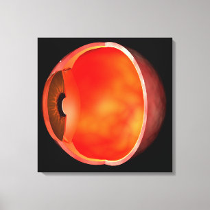 Begripelijk Afbeelding van het menselijke oog, doo Canvas Afdruk
