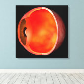 Begripelijk Afbeelding van het menselijke oog, doo Canvas Afdruk (Insitu (Houten vloer))