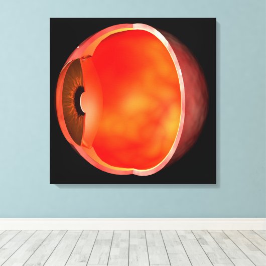 Begripelijk Afbeelding van het menselijke oog, doo Canvas Afdruk (Insitu (Houten vloer))
