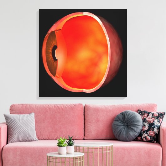 Begripelijk Afbeelding van het menselijke oog, doo Canvas Afdruk (Insitu (Woonkamer))