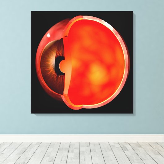 Begripelijk Afbeelding van het menselijke oog, doo Canvas Afdruk (Insitu (Houten vloer))